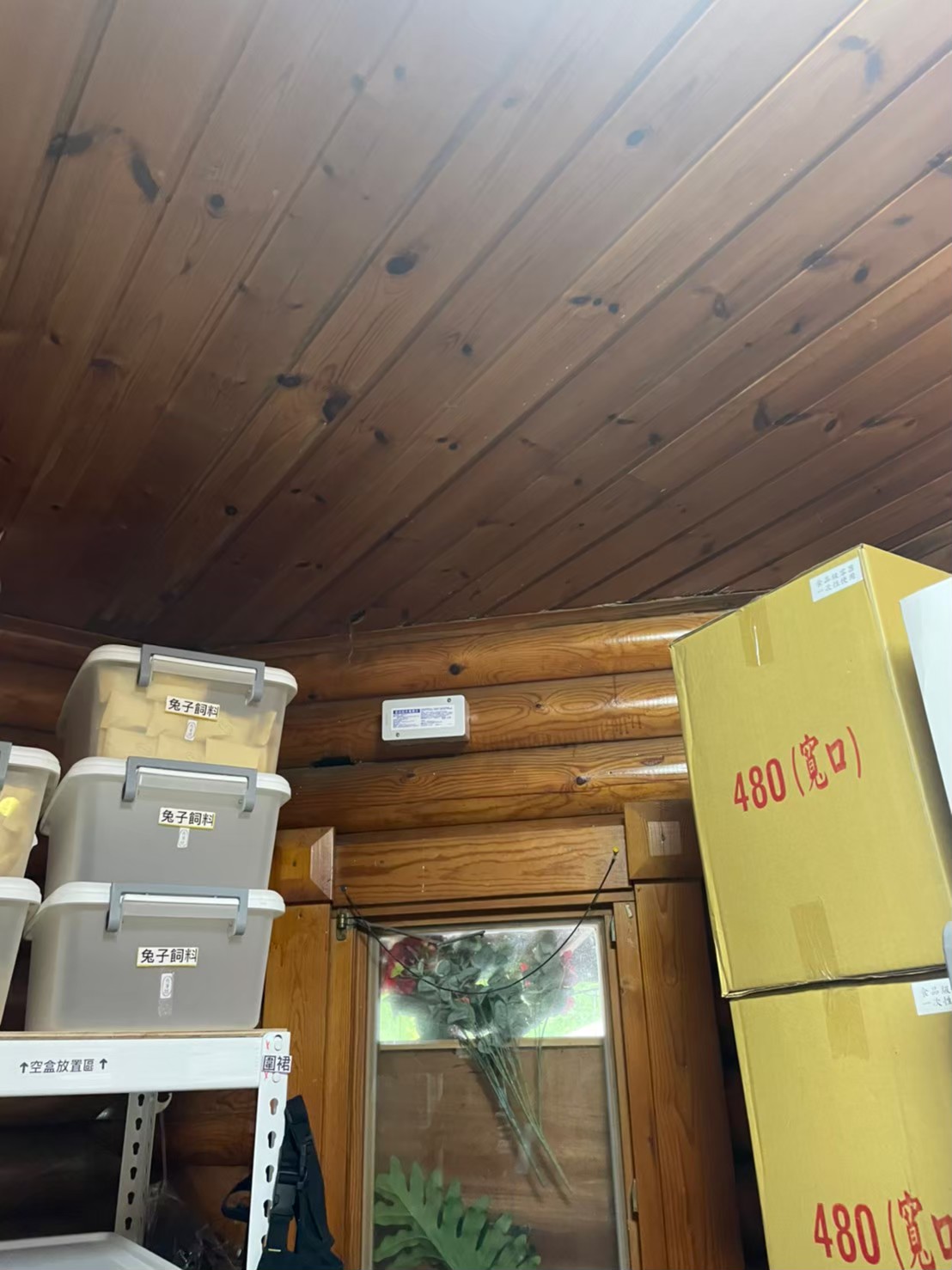 20230629白蟻餌站施工的第5張圖片